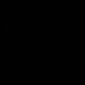 Meet your Posher, Allie